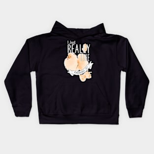 Really Like Pomeranians Kids Hoodie